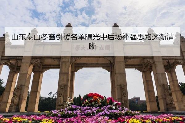 山东泰山冬窗引援名单曝光中后场补强思路逐渐清晰